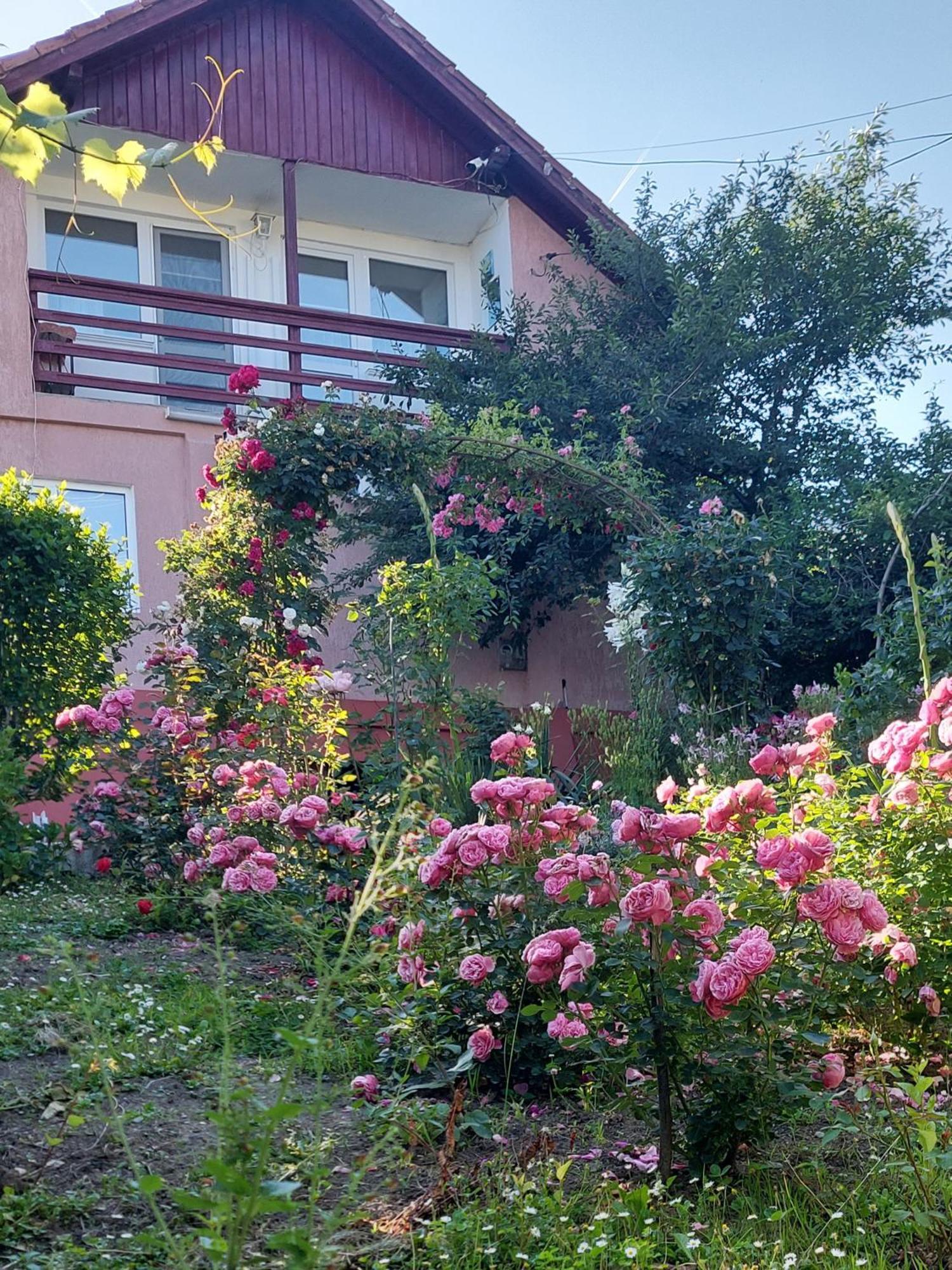 Casuta Dintre Dealuri Vladesti Exterior foto